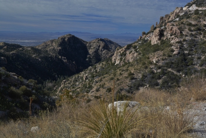 the landscape along the route